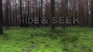 Adobe After Effects