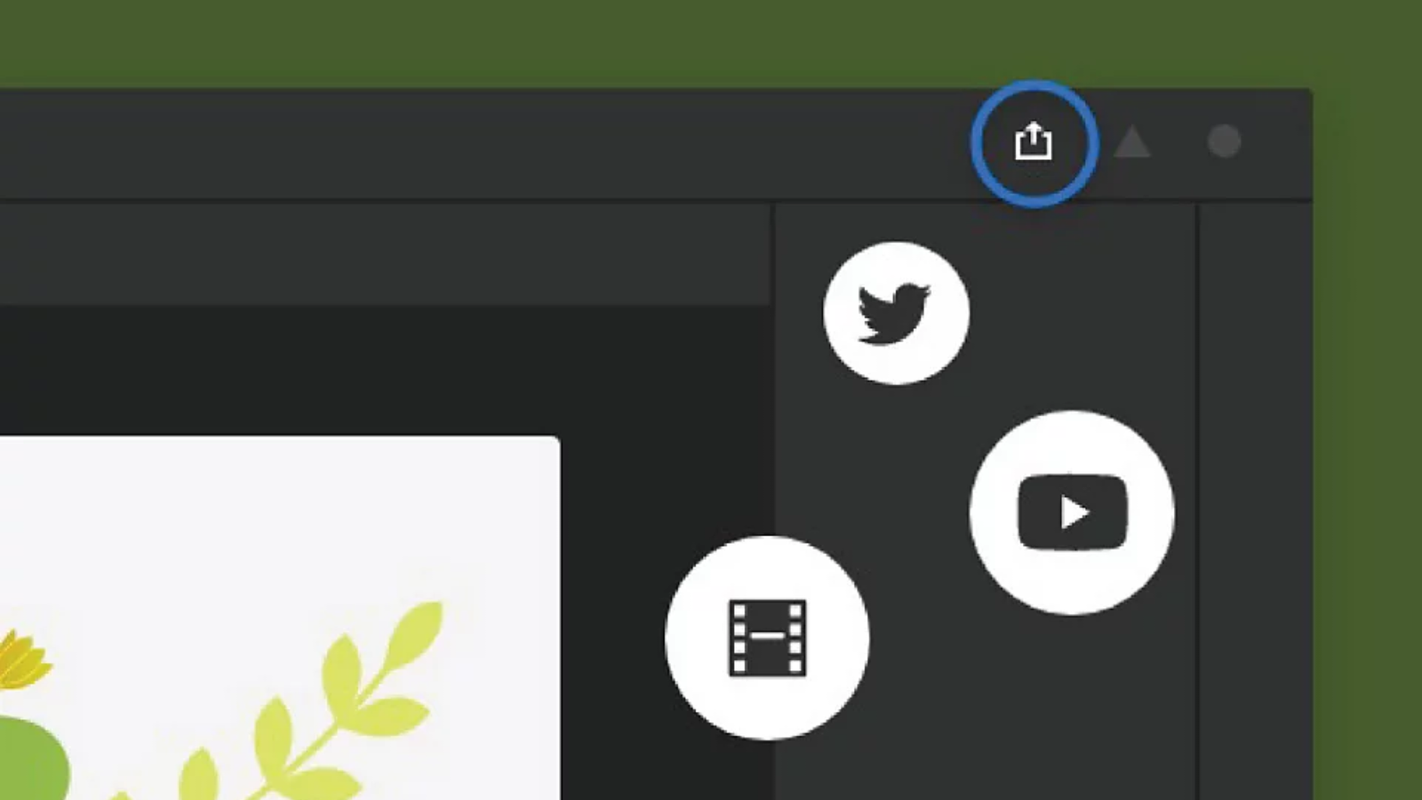 Adobe Animate